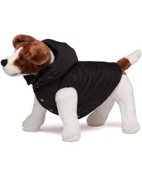 Prada - Re-Nylon Puffer Dog Coat With Hood - Lyst
