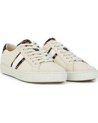 irving mesh and cheetah calf hair stripe sneaker