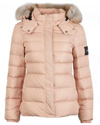 calvin klein hooded jacket women's