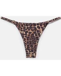 Pull&Bear - Leopard Print Bikini Bottoms - Lyst