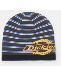 Pull&Bear - Dickies Striped Beanie - Lyst