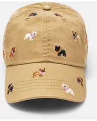 Pull&Bear - Cappello Ricamo Cagnolini - Lyst
