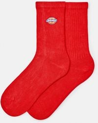 Pull&Bear - Dickies Socks - Lyst