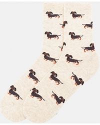Pull&Bear - Chaussettes Motif Teckel - Lyst