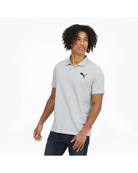 polo puma
