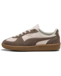 PUMA - Palermo Wine Club Sneakers Voor Maat 35,5 - Lyst