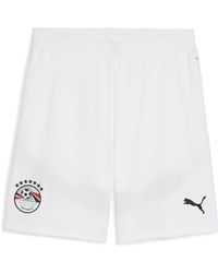 PUMA - Egypte 2025 Short Voor Grijs/Wit, Maat - Lyst