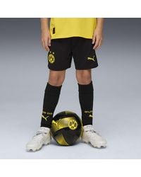 PUMA - Borussia Dortmund 25/26 Shorts Teenager, Kleidung, /Faster Gelb - Lyst