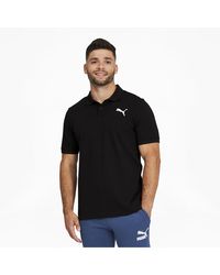 polo puma