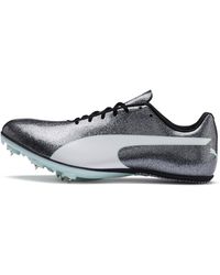 puma evospeed netfit spikes