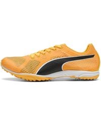 PUMA - Chaussures De Running Sans Pointes Evospeed Haraka 8 E - Lyst