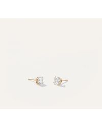 Quince - 14K Lab Grown Diamond Solitaire Studs - Lyst