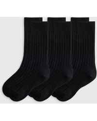 Quince - Merino Cashmere Blend Ribbed Crew Sock, Merino/Cotton - Lyst
