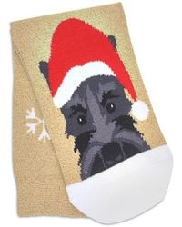 Radley Dog Socks 1 Pack Dog Socks - Metallic