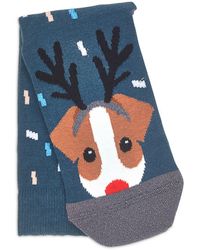 Radley Dog Socks 1 Pack Dog Socks - Blue