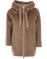 Herno Veste Femme - Marron