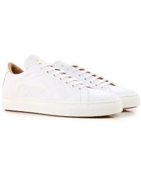 womens vivienne westwood trainers
