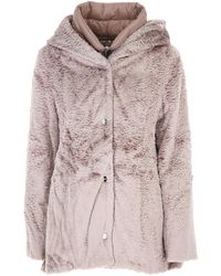 Herno Manteau Femme - Violet