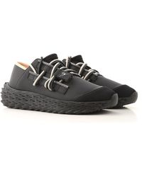 zanotti courte femme