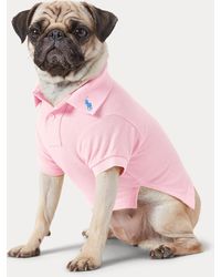 Ralph Lauren - Katoenen Mesh Polo-Shirt Voor Honden - Lyst