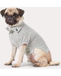 Ralph Lauren - Katoenen Mesh Polo-Shirt Voor Honden - Lyst