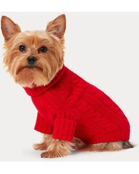 Ralph Lauren - Ralph Lauren Cable-Knit Cashmere Dog Sweater - Lyst
