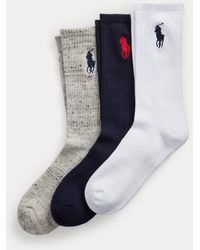 Polo Ralph Lauren - Big Pony Crew Sock 3-Pack - Lyst