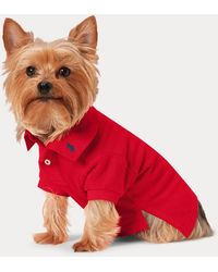 Ralph Lauren - Katoenen Mesh Polo-Shirt Voor Honden - Lyst