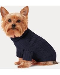 Ralph Lauren - Ralph Lauren Cable-Knit Cashmere Dog Sweater - Lyst