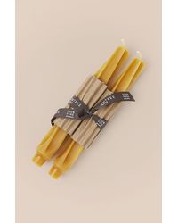 Rebecca Taylor Greentree Home Twist Tapers - Natural