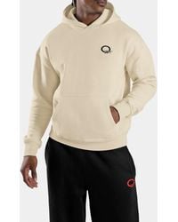 Reebok - Allen Iverson Relaxed Brushed Fleece Graphic Hoodie - Lyst