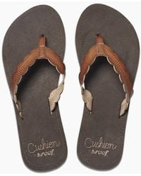 reef cushion celine champagne