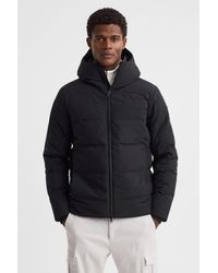 Scandinavian Edition - Hooded Puffer Jacket - Lyst