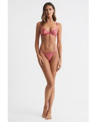 Bluebella - Mesh Embroidered Thong - Lyst