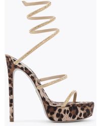 Rene Caovilla - Cleo Animalier Platform Sandal 130 - Lyst