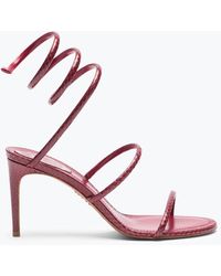 Rene Caovilla - Sandale Cleo En Cuir D'Ayers Bordeaux 80 - Lyst