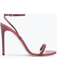 Rene Caovilla - Ellabrita Crystal Wine Sandal 105 - Lyst