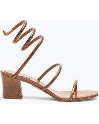 Rene Caovilla - Sandale Cleo En Cuir D'Ayers 50 - Lyst
