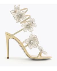Rene Caovilla - Peach Flower Lemon Sandal 105 - Lyst