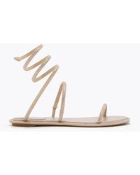 Rene Caovilla - Cleo Flat Sandal 10 - Lyst