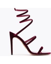 Rene Caovilla - Cleo Rubis Velours Sandale 105 - Lyst