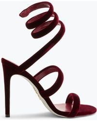 Rene Caovilla - Sandale Cleo Velours Rouge Vif 105 - Lyst