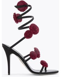 Rene Caovilla - Rosalia Sandal 100 - Lyst