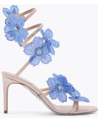 Rene Caovilla - Peach Flower Blush And Sandal 80 - Lyst