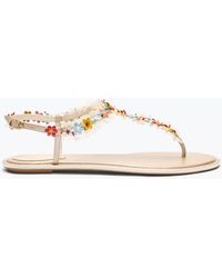 Rene Caovilla - Bloom Nude Flat Sandal 10 - Lyst