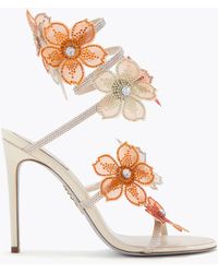 Rene Caovilla - Peach Flower Ivory And Sandal 105 - Lyst