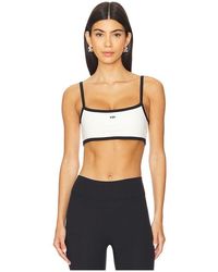 437 - The Micro Bra - Lyst