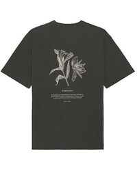 Samsøe & Samsøe - Salilium T-Shirt - Lyst