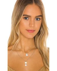 Amber Sceats Ожерелье В Цвете Золотой - Металлик