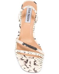 steve madden flory suede kitten heel pump